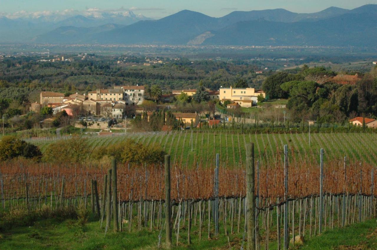 Ciglieri Santermo Casciana Terme Lari Pet&Bike Friendly Free Park Exterior foto
