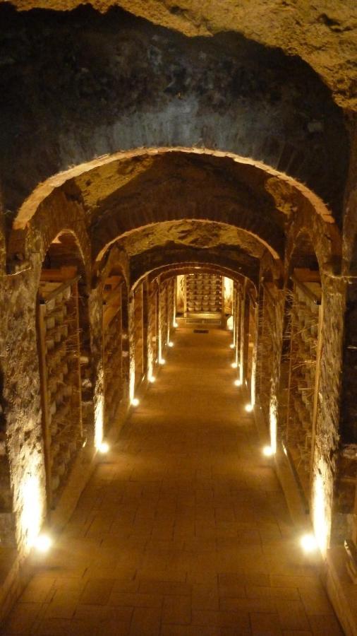 Ciglieri Santermo Casciana Terme Lari Pet&Bike Friendly Free Park Exterior foto